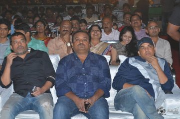 MCA Movie Pre Release Event Photos